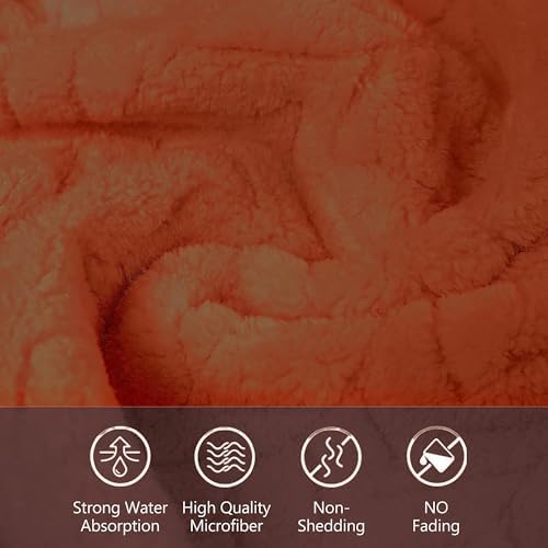 ANNEXLAB Luxury Microfiber Towel Set 6 Piece Rose Red