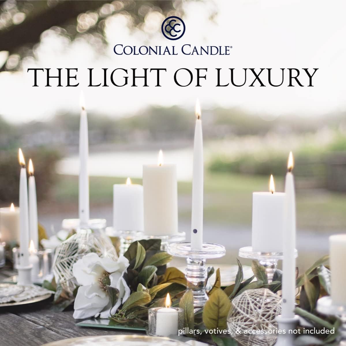 Colonial Candle Unscented Taper Candles Classic Collection White 8 Inch Pack of 12