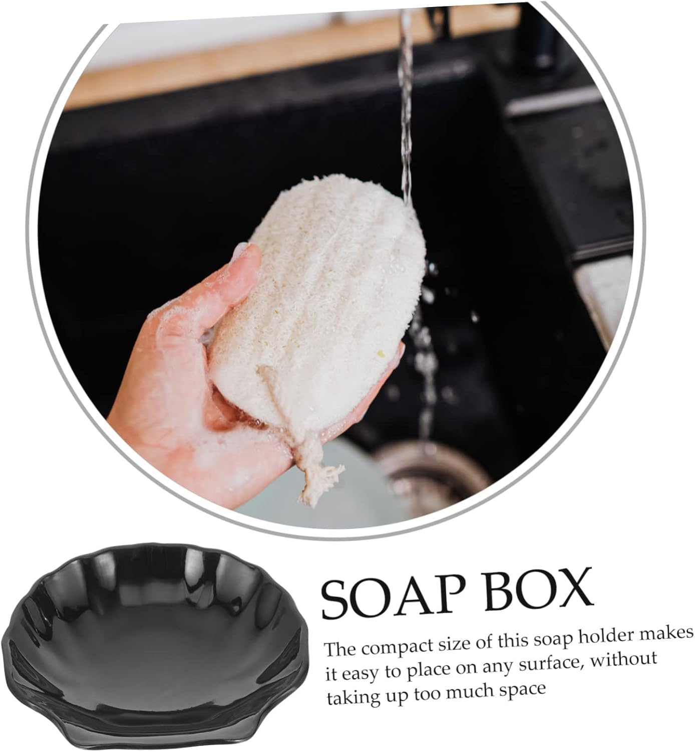 Shell Soap Holder for Shower and Bath