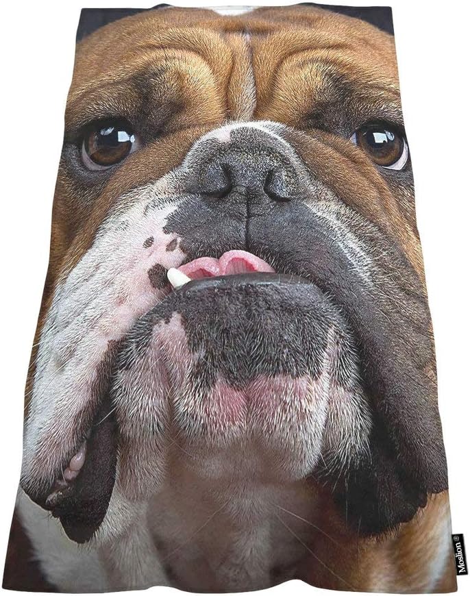 Moslion Comfy Bath Towel for Dogs and People